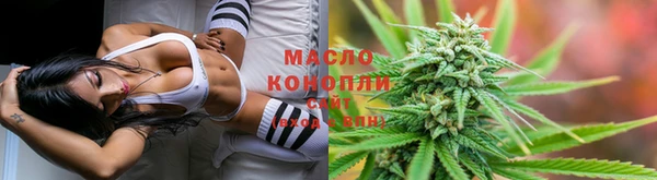 сатива Балахна
