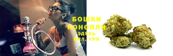 крисы Баксан