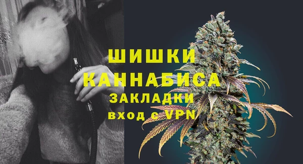 сатива Балахна