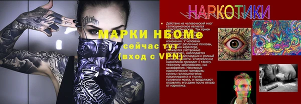 сатива Балахна