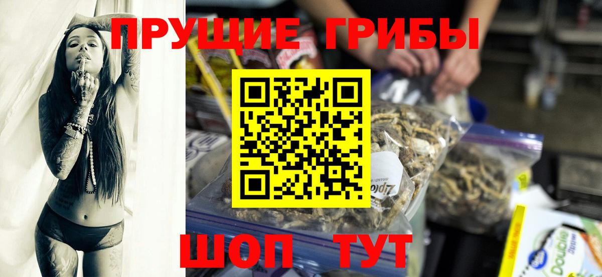 Пятигорск  Галлюциногенные грибы MAGIC MUSHROOMS  Вход с VPN 